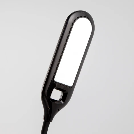 Офисная настольная лампа Elektrostandard Soft 80503/1