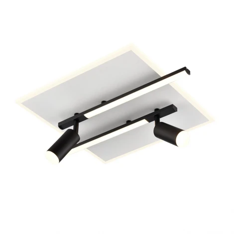 Потолочный светильник светодиодный со спотом Lumion Stells 8256/40CL белый/черный, металл/пластик LED 40W 3000-6500К 220V