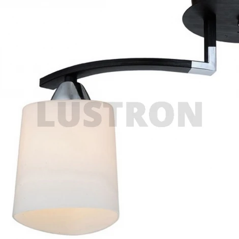 Потолочная люстра IDLamp Helena 860/2PF-Dark