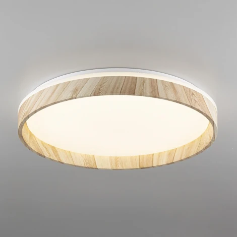 Потолочный светильник RGB круглый светодиодный с пультом Citilux Enzo CL753452G (220V, круглые)