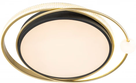 Потолочный светильник Arte Lamp A2658PL-58BK