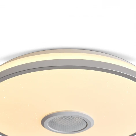 Потолочный светильник светодиодный умный дом Freya Rond FR6226CL-L36W 38Вт LED