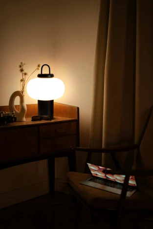 Настольная лампа Freya Take FR6175TL-L10B (LED, 220V, круглые)