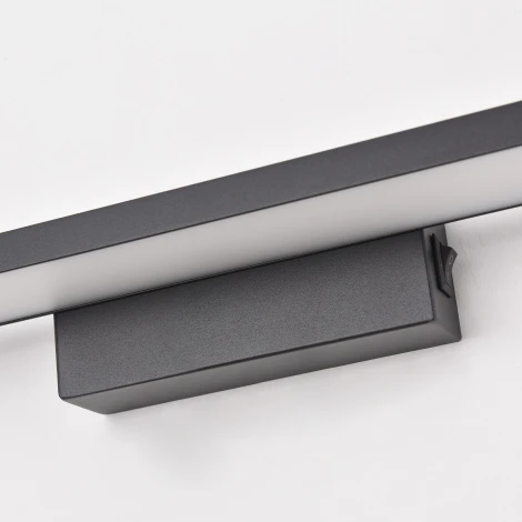 Подсветка для картин светодиодная Lightstar Noce 201077