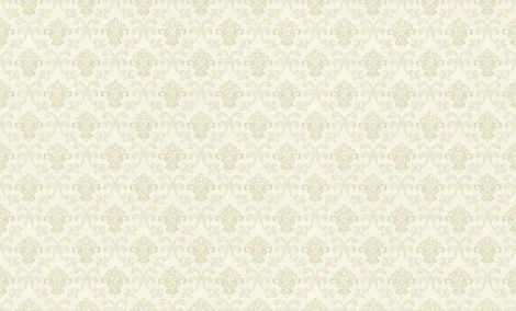 Обои виниловые Rasch Maximum XIV 954418 10 x 1,06 м