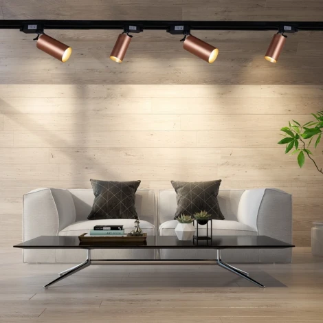 Трековый светильник однофазный 220В Reluce 06307-9.3-001CN GU10 SCF