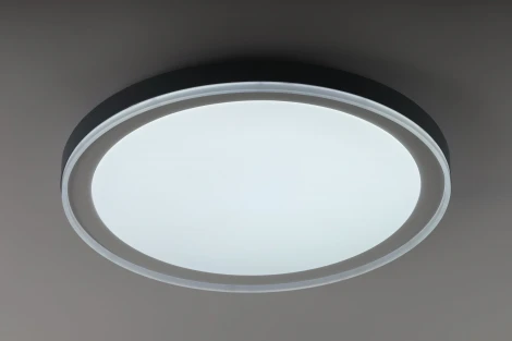 Потолочный светильник светодиодный с пультом с регулировкой цветовой температуры ЭРА SPB-6 Jane 86W-3K-6,5K-RC WH+GR