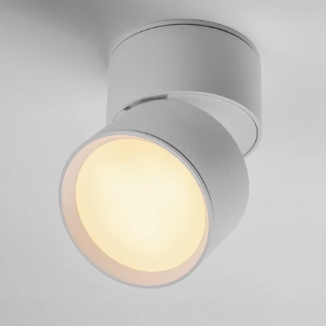 Накладной потолочный светильник Lightstar Acuto 215836 (LED, 220V, круглые, IP44)