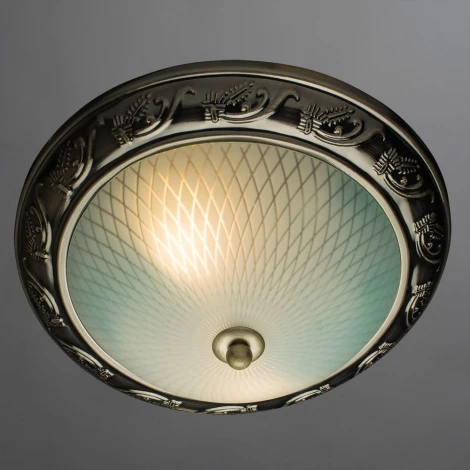 Потолочный светильник Arte Lamp Alta A3019PL-2AB