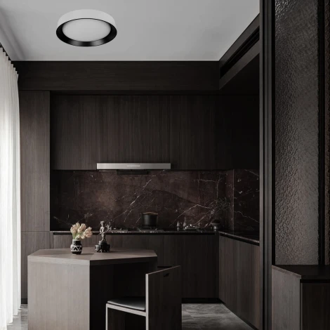 Потолочный светильник светодиодные Loft It Coin 10202 WB