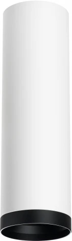 Точечный светильник накладной Lightstar Rullo R64963487 (220V, круглые)