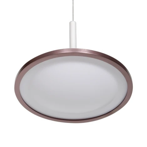 Подвесной светильник L'Arte Luce Rowdy L21761.02 (LED, 220V, на проводе, круглые)