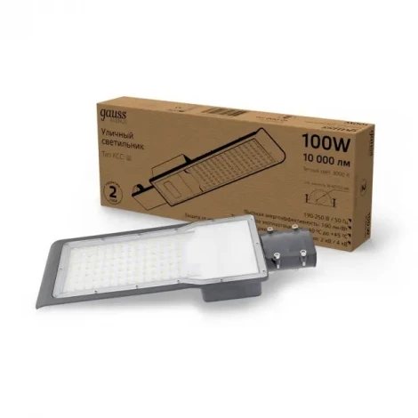 Уличный консольный светильник Gauss Avenue 629534100 (LED, 220V, IP65)