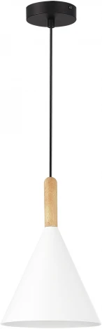 Светильник подвесной Evoluce Arket SLE1255-413-01 Черный/Белый E27 1*40W (220V, на проводе)