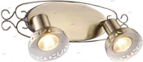 Спот Arte Lamp Focus A5219AP-2AB