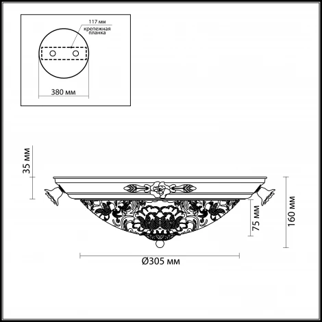 Настенно-потолочный светильник Odeon Light Bone 2692/3C