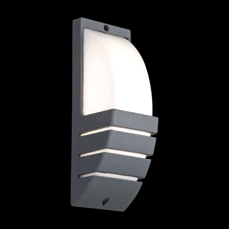 Настенный светильник уличный ST Luce Vettore SL091.701.01