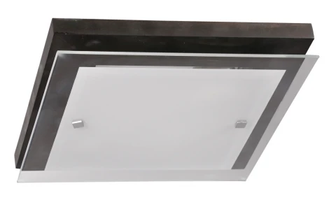 Настенно-потолочный светильник Дубравия Эко 106-41-22/1H