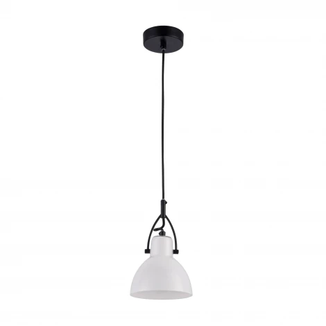 Подвесной светильник Maytoni Daniel MOD407-PL-01-B