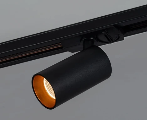 Внутренняя сменная вставка для светильника TR 3006 Italline Ring for 10W gold