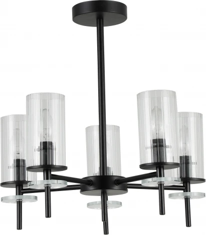 Потолочная люстра на штанге Rivoli Audrey 2090-305 (220V)