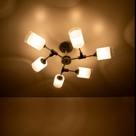 Потолочная люстра на штанге Эрик CL136165 Citilux