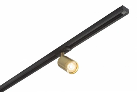 Трековый светильник Denkirs DK620 DK6201-BS