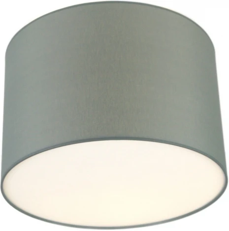 Потолочный светильник круглый Lighthall Camerona 45 LH022035 (круглые)