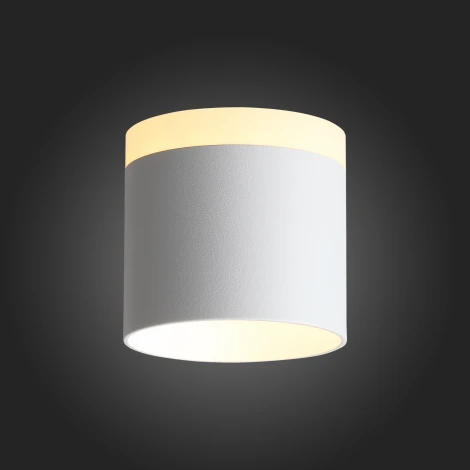 Накладной точечный светильник ST Luce Panaggio ST102.502.09 (LED, 220V, круглые)