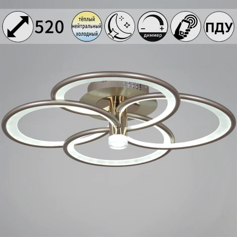Потолочный светильник светодиодный с пультом и ночным режимом Reluce 09246-0.3-4S Champaign silver (Умный дом) (220V)