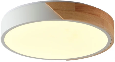 Потолочный светильник круглый Zortes Alberro ZRS.01289.72 (LED, 220V, круглые)