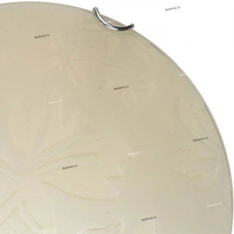 Настенно-потолочный светильник Toplight Jane TL9640Y-00WH