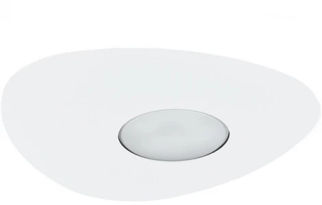 Потолочный светильник Nowodvorski Organic 8305