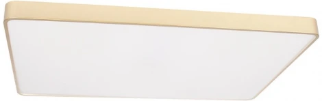 Потолочные светильники Loft It Flims 10228/E (LED, 220V)