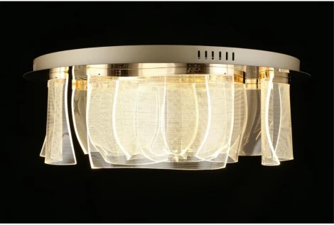 Потолочная люстра светодиодная Aployt Annetta APL.864.07.50 (220V, круглые)