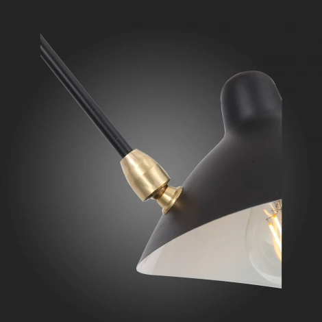 Потолочная люстра ST Luce Spruzzo SL305.402.06 (220V)