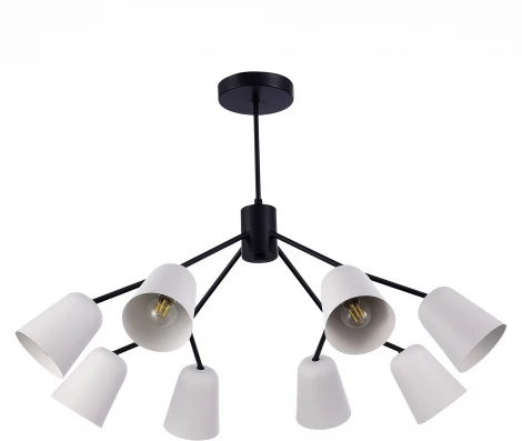 Потолочная люстра на штанге Evoluce Mario SLE155942-08