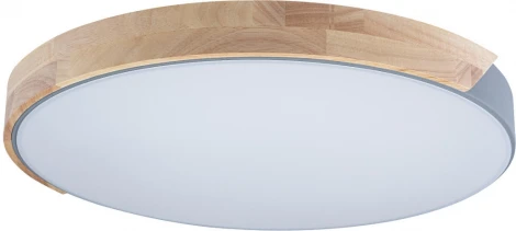 Потолочный светильник круглый Loft IT Axel 10004/36 Grey (LED, 220V, круглые)