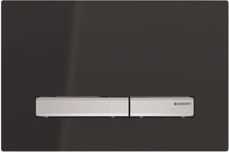 Кнопка смыва Geberit Sigma 50 115.788.DW.2 черный