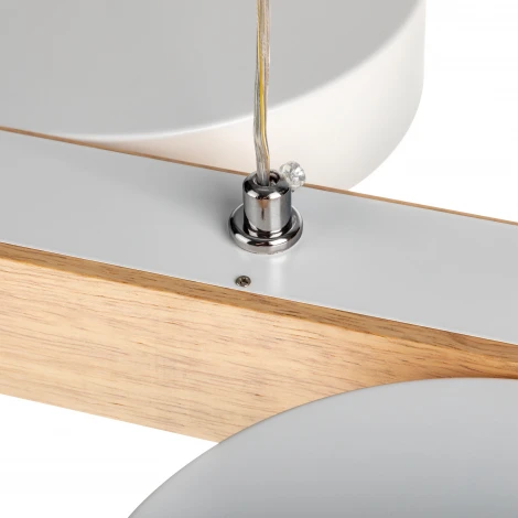 Подвесной светильник светодиодный Ritter Racemo 51608 2