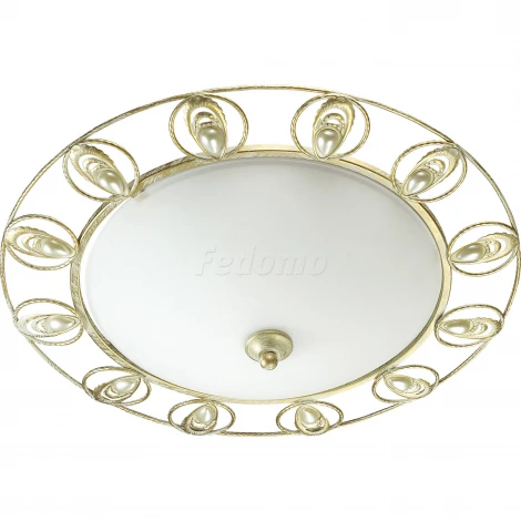Настенно-потолочный светильник Odeon Light Kanti 3483/3C