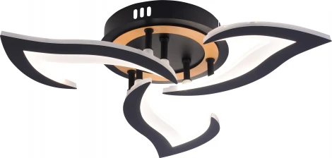 Потолочная люстра светодиодная Rivoli Cassandra 6194-703 LED 3000-6250К 42 Вт с пультом