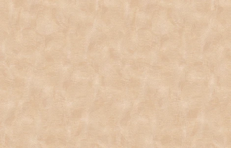 Обои флизелиновые Loymina Hygge Summer Hg14 003 10,05 x 1 м