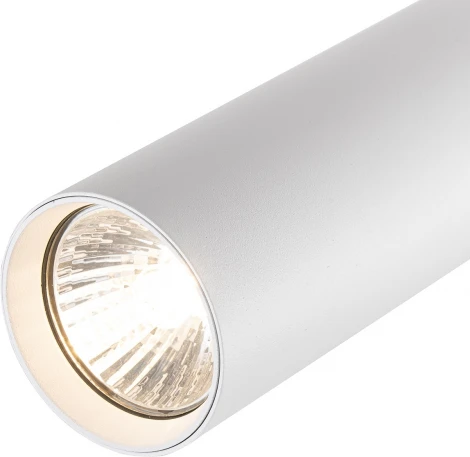 Трековый светильник однофазный Escada 20001 20001TRA/02 SWH 1x50Вт GU10, металл, белый матовый (220V, круглые)