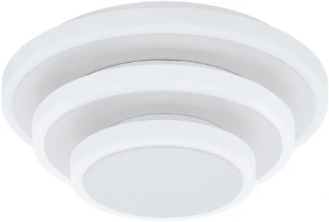 Настенно-потолочный светильник светодиодный Elgvero 98676