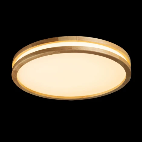 Потолочный светильник круглый светодиодный De City Норден 660015401