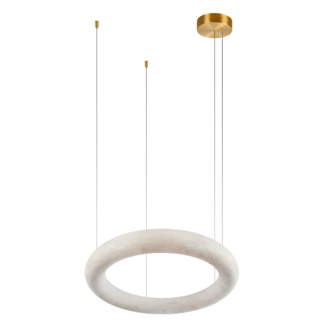 Подвесной светильник светодиодный кольцо Loft It Oslo 10407/600 (220V, на тросе, кольцо)