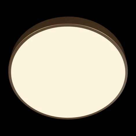 Потолочные светильники Loft It Flims 10228/A (LED, 220V, круглые)