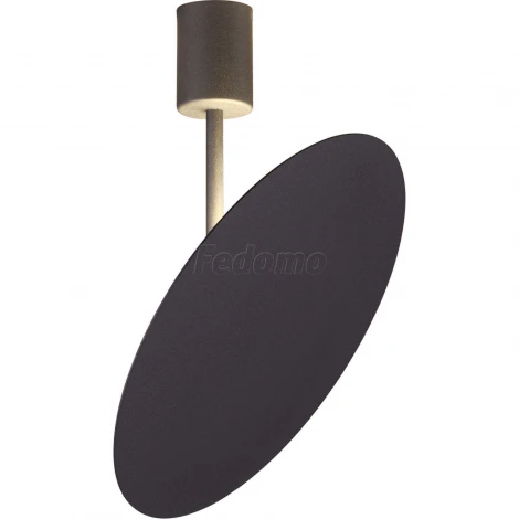 Потолочная люстра Odeon Light Whittaker 3843/12CL