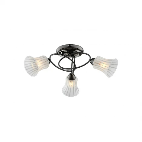 Потолочная люстра IDLamp Zhinevra 246/3PF-Blackwhite